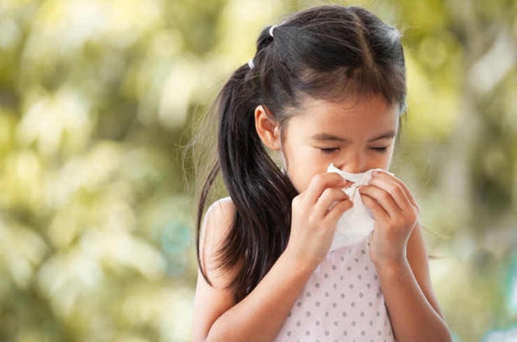 Allergies------25